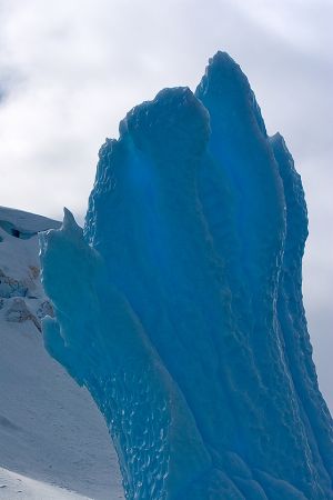 Cuverville Island, Antarctica 069.jpg